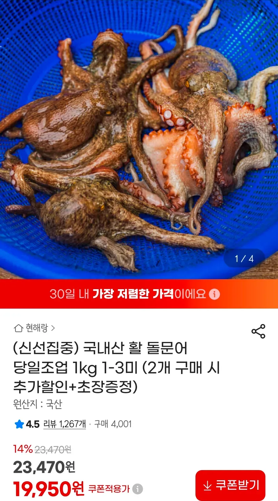 국내산 활 돌문어 당일조업 1kg 1-3미