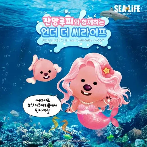 ★ (성수기) 아쿠아리움 1일 입장권 (*당일사용불가)