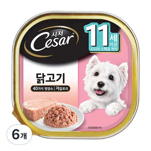 시저 시니어 강아지 주식캔