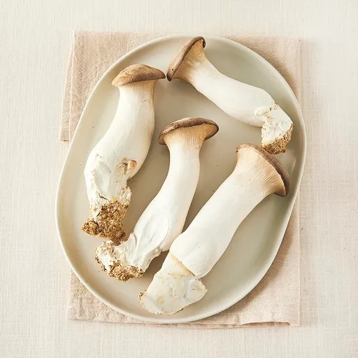 친환경 새송이버섯