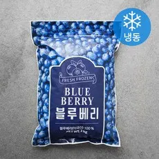 미국 블루베리 (냉동), 2kg, 1개