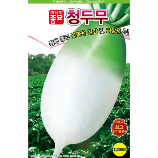 아시아종묘 청두무 씨앗 2000p