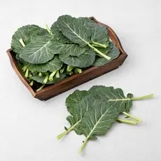 국내산 케일, 500g