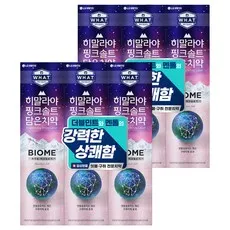 히말라야핑크솔트 바이옴 치약, 130g