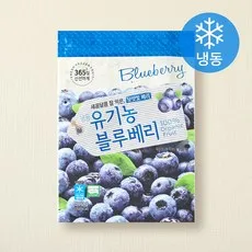 호재준 유기가공식품 인증 블루베리 (냉동), 500g