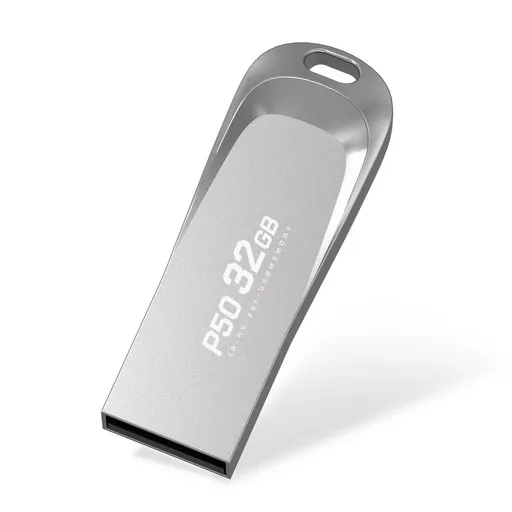 PLEIGO USB 메모리 P50