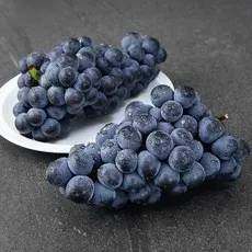 아주마 영동 상주산 캠벨포도, 1kg