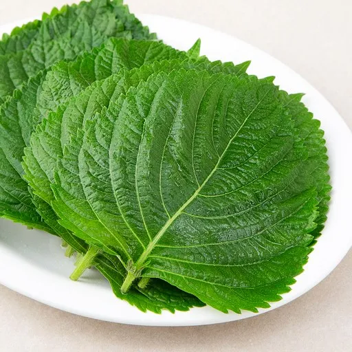 GAP인증 밀양 깻잎