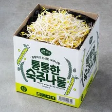 맑은물에 통통한 숙주나물, 3.5kg