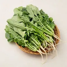 국내산 열무, 1.2kg
