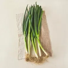 국내산 친환경 대파, 500g