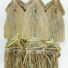 건어물천국 마른오징어 특대 건조오징어, 1.3kg