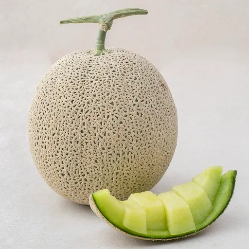 곡성 고당도 맘에쏙 멜론, 1.9kg