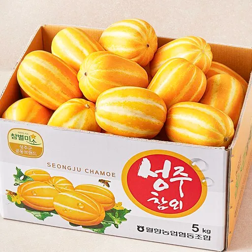 성주 가정용 실속 참외, 5kg, 2박스