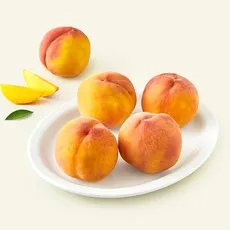 농협 유명산지 당도선별 부드러운 황도복숭아, 1.8kg(5~8입)