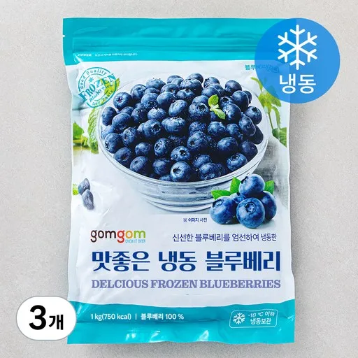 [로켓프레시] 곰곰 냉동 블루베리