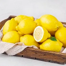 다조은 칠레산 레몬, 1개, 3kg