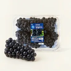 맑은청 청정강원 영월포도, 1.5kg(3~6입), 1개