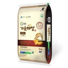 음성군농협 다올찬 가을해쌀 알찬미, 10kg, 1개, 상등급