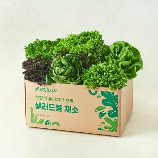 친환경 유러피안 모둠 샐러드용 채소