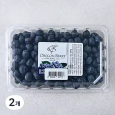 H&B 미국산 블루베리, 310g