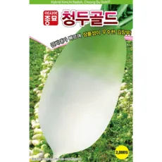 김장무 씨앗 2000립 / 청두골드 육질이 치밀한 맛좋은 김장용 무 종자 / 가을 파종, 1개