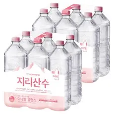 아워홈 지리산수 무라벨, 12개, 2L