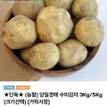 해돋이농산 국내산 강원도감자 햇감자 수미감자 대 3kg 5kg 10kg