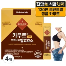 웰빙홀릭 카무트효소 분말 100% 식약청인증 130만 발효효소 골드 곡물 가루 HACCP, 4개, 90g