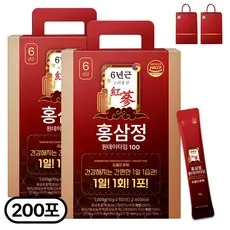 1+1 홍삼정 6년근 하루한포 100회분 대용량+쇼핑백, 2개, 1L