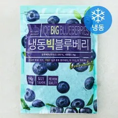 딜라잇가든 미국산 빅 블루베리 (냉동), 1개, 1kg