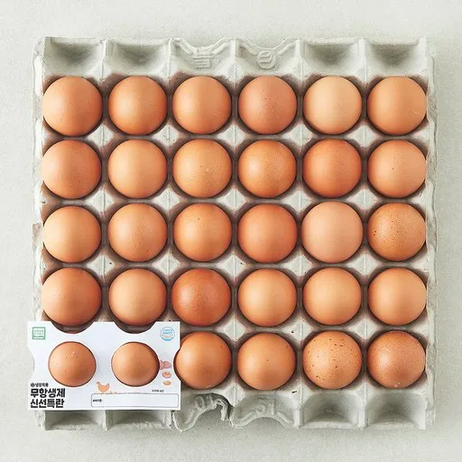 [로켓프레시] 무항생제 신선 특란 1.8kg