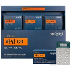 파인G9 프리미엄 비타민AE 송침유 (솔잎증류농축액) 3개월분, 3개, 30정