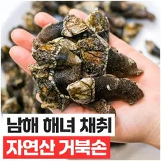 산지직송 자연산 거북손 해녀채취, 1개, 500g