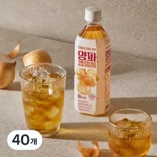 데일리어니언 양파껍질차, 40개, 500ml