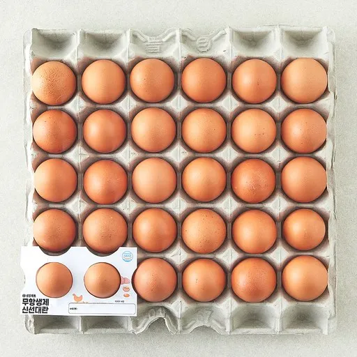 [로켓프레시] 무항생제 신선 대란 1.56kg