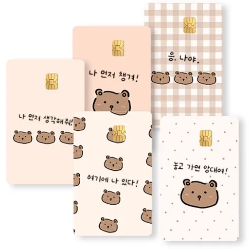 제이엔케이스토어 카드 스킨 꾸미기 스티커 커버 5매입, 베베어, IC 정사각