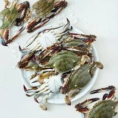 산지직송 서해안 일품 햇 꽃게 (냉장), 1개, 3kg