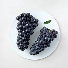 모아바이오팜 캠벨포도, 1개, 1kg