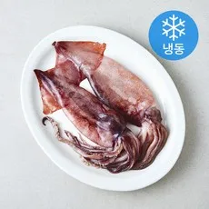 국내산 손질 통 오징어 (냉동), 1개, 320g