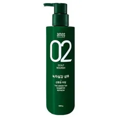아모스프로페셔널 녹차실감 샴푸 지성 산뜻한 타입, 500g
