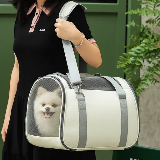 ํด๋ผ๋ฏผ ๊ฐ์์ง ๊ณ ์์ด ์ด๋๊ฐ๋ฐฉ ์ ๊ฒฌ ์ด๋์ฅ ์บ๋ฆฌ์ด