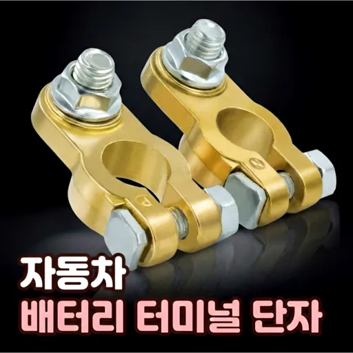 로니베이 자동차 배터리 터미널 단자 황동 음극(-) 양극(+)