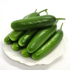 국내산 울팜 미니오이 생식용 간식용 아삭이오이, 1개, 미니오이 500g