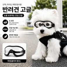 반려견 고글 선글라스 방풍 강아지 안경 소형견 중형견 외출 보호용 애견 패션 아이템, 1개, 블랙 프레임 투명 렌즈