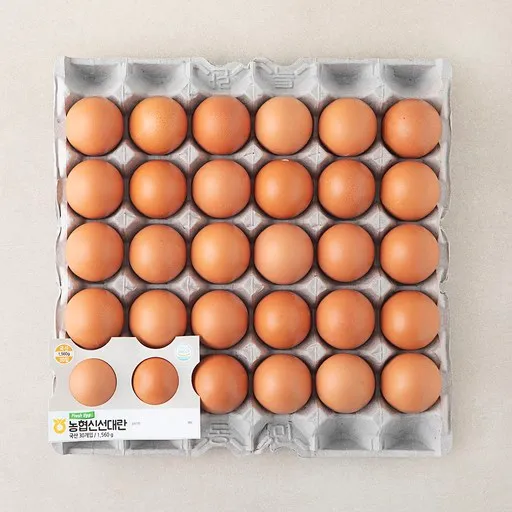 [로켓프레시] 신선 대란 1560g