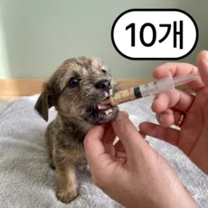 쏙쏙리빙 반려동물 피딩용 주사기, 투명, 10개, 3ml