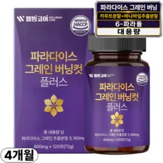 파라다이스 그레인 버닝 정품 100% 식약청인증 6파라돌 그래인, 1박스, 120회분