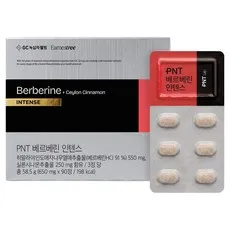 피엔티랩 베르베린 인텐스 58.5g, 1개, 90정