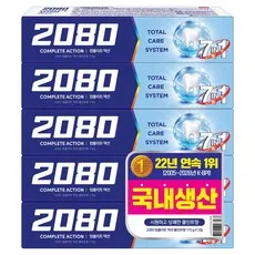 2080 컴플리트액션 쿨민트 치약, 170g, 5개